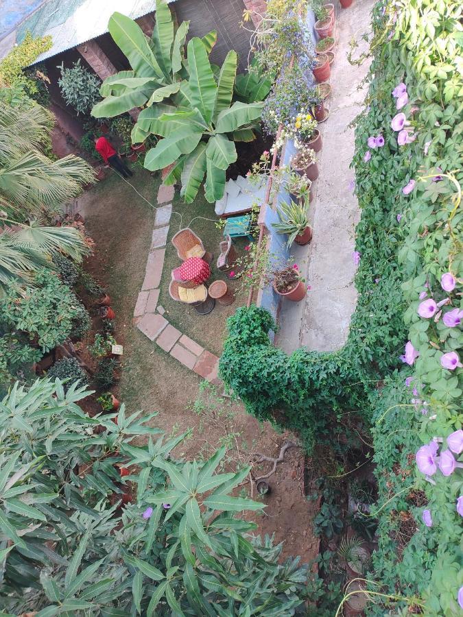 Bristows Haveli Homestay Τζοντχπούρ Εξωτερικό φωτογραφία